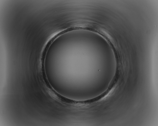 X0000088210779200705221742