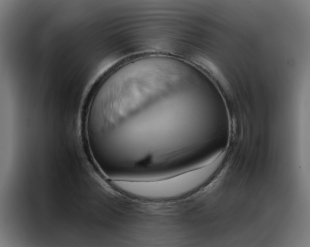 X0000088210780200705221742