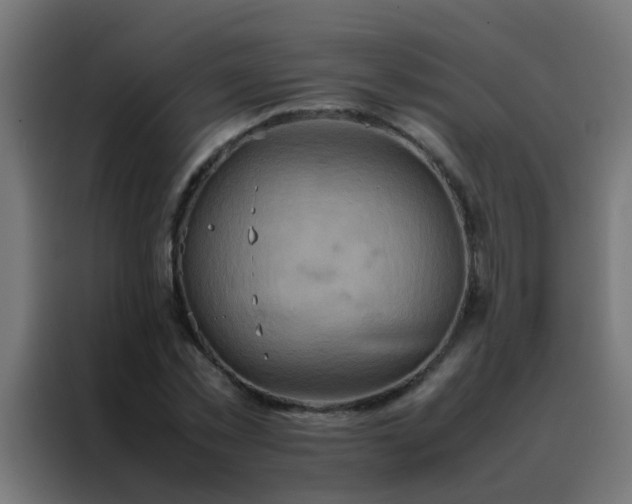 X0000088210781200705221742