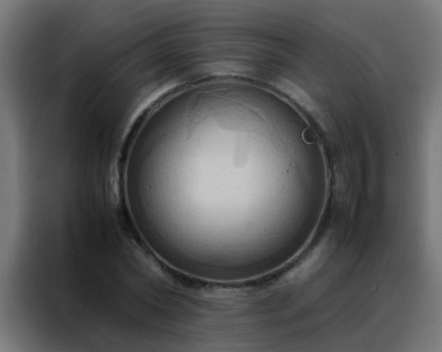 X0000088210782200705221742
