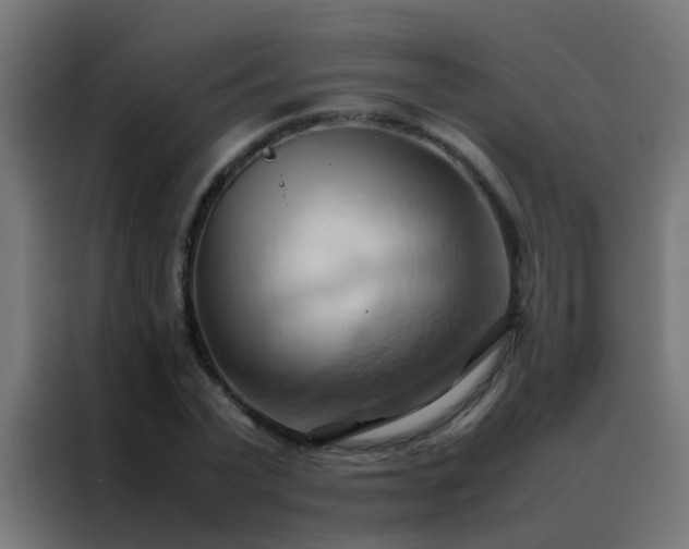 X0000088210783200705221742