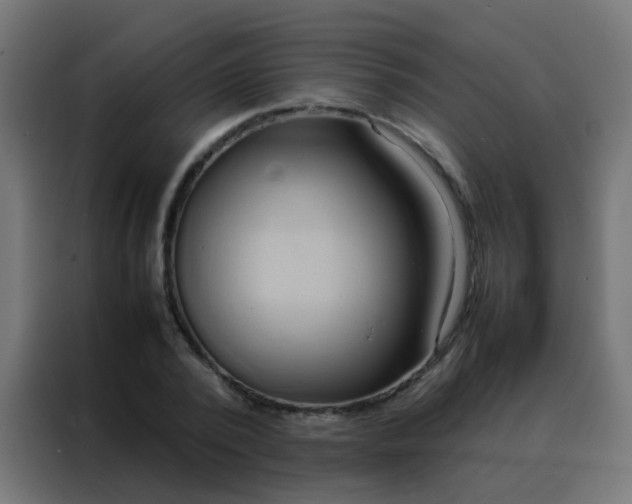 X0000088210784200705221742