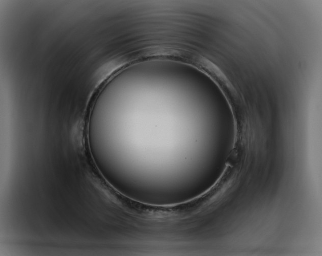 X0000088210786200705221742
