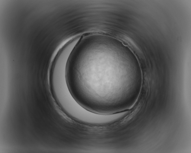 X0000088210788200705221742