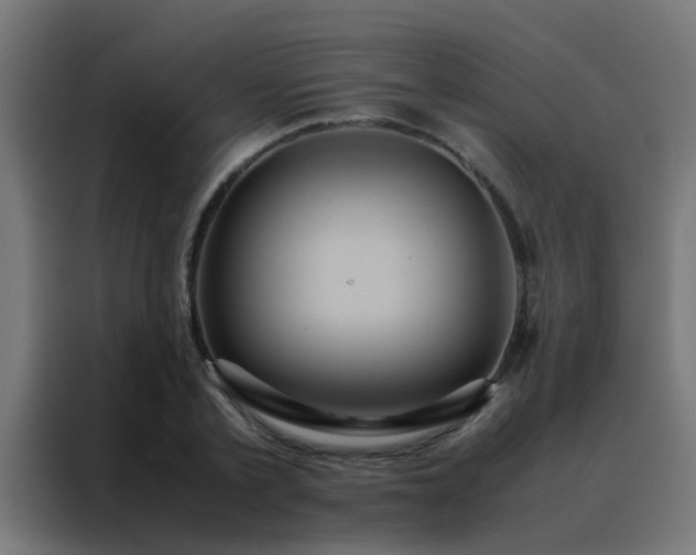 X0000088210789200705221742