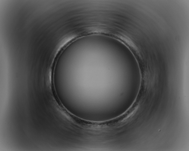 X0000088210790200705221742