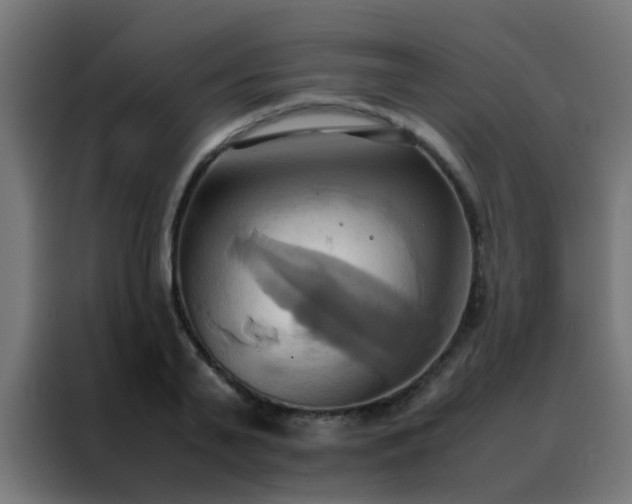 X0000088210791200705221742