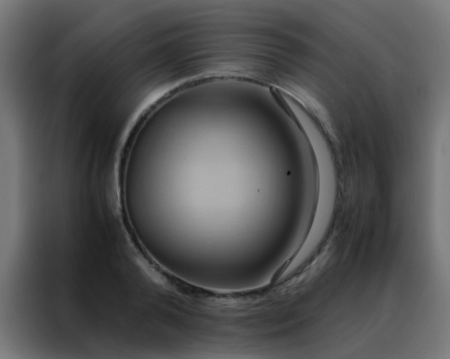 X0000088210792200705221742