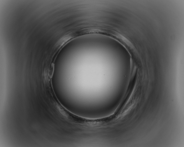X0000088210793200705221742