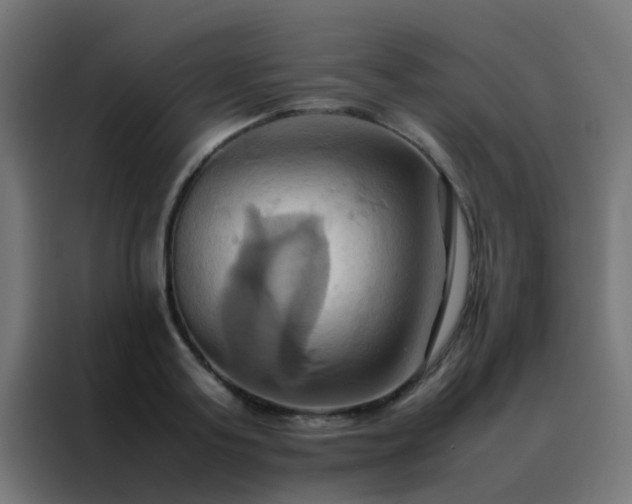 X0000088210795200705221742