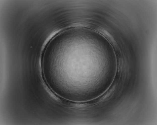 X0000088210796200705221742