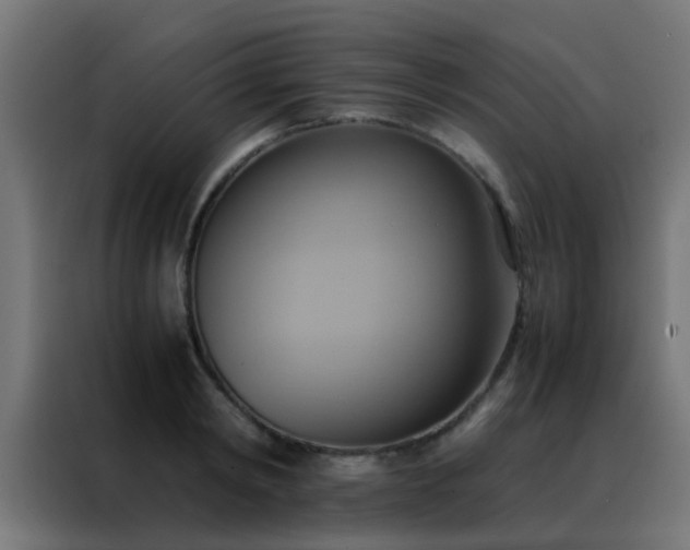 X0000088210798200705221742