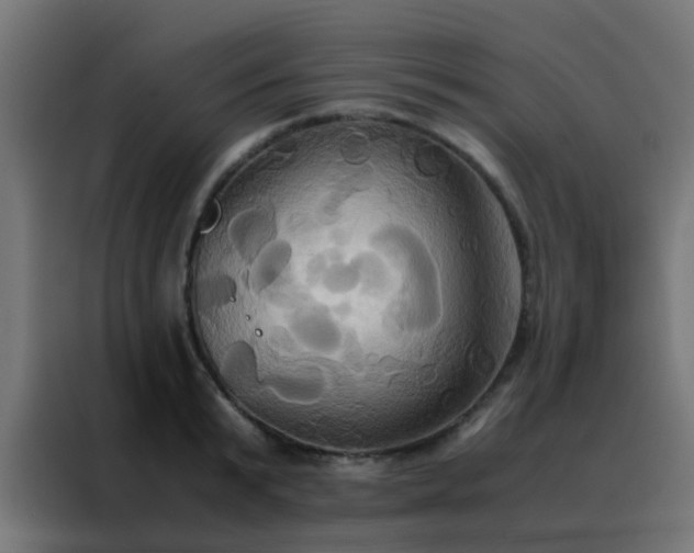 X0000088210799200705221742