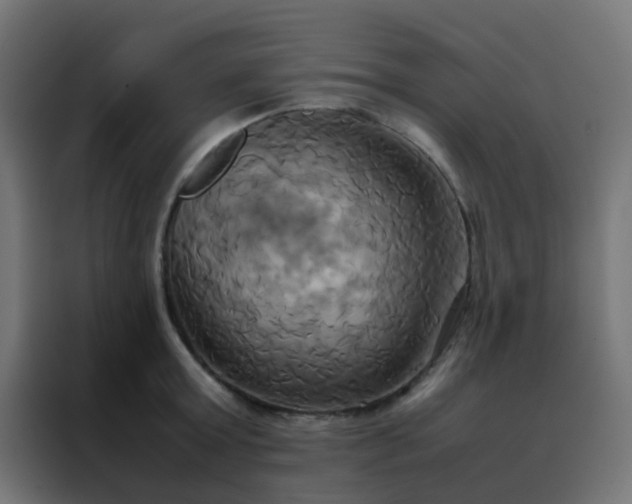 X0000088210803200705221742