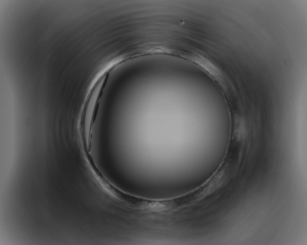 X0000088210806200705221742