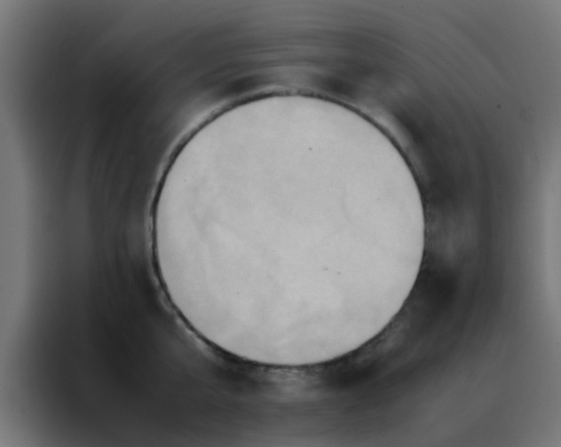 X0000088210807200705221742