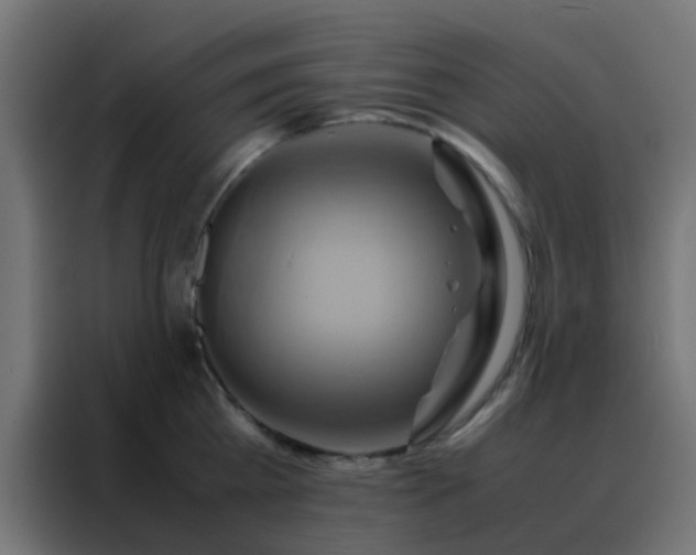 X0000088210809200705221742