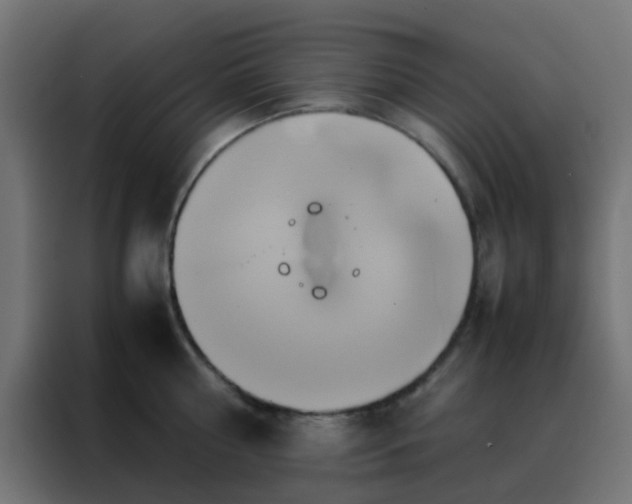 X0000088210810200705221742
