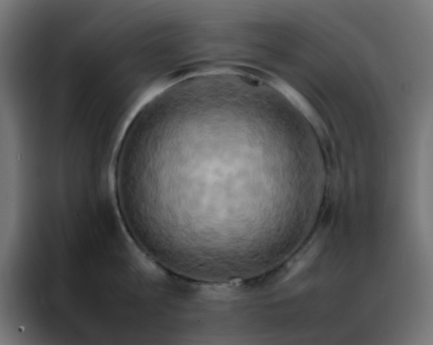 X0000088210813200705221742