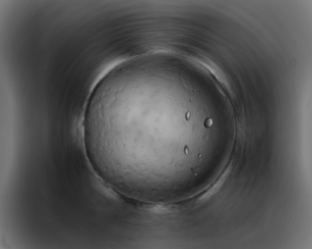 X0000088210814200705221742