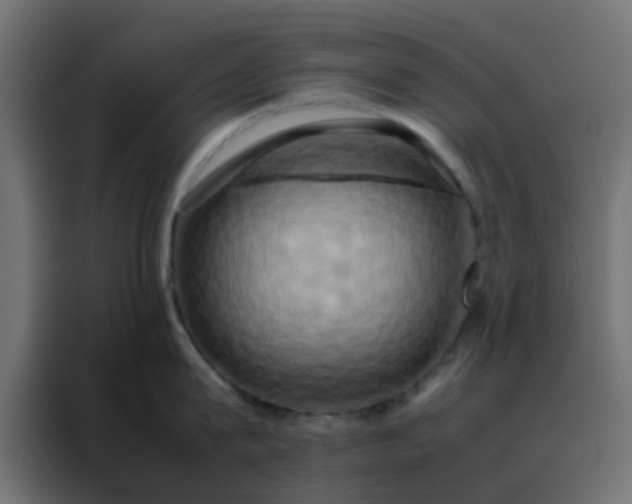 X0000088210815200705221742