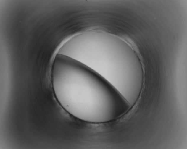X0000088210816200705221742
