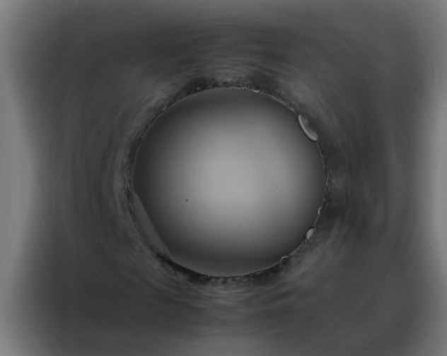 X0000088210817200705221741