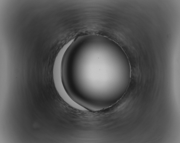 X0000088210818200705221741