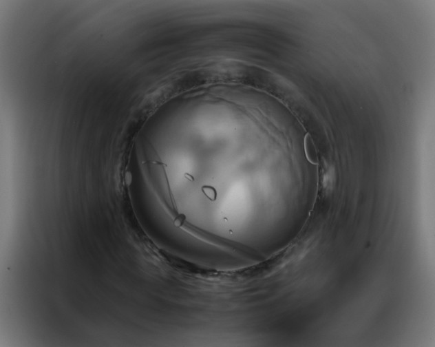 X0000088210819200705221741