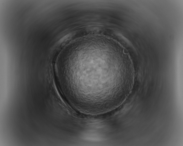 X0000088210821200705221741
