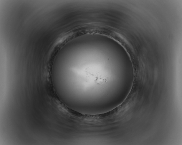 X0000088210823200705221741