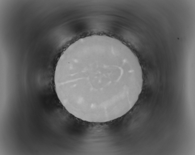 X0000088210824200705221741