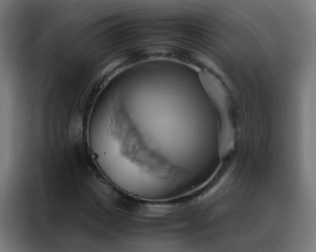 X0000088210825200705221741