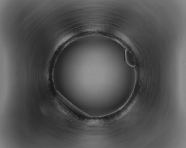 X0000088210826200705221741