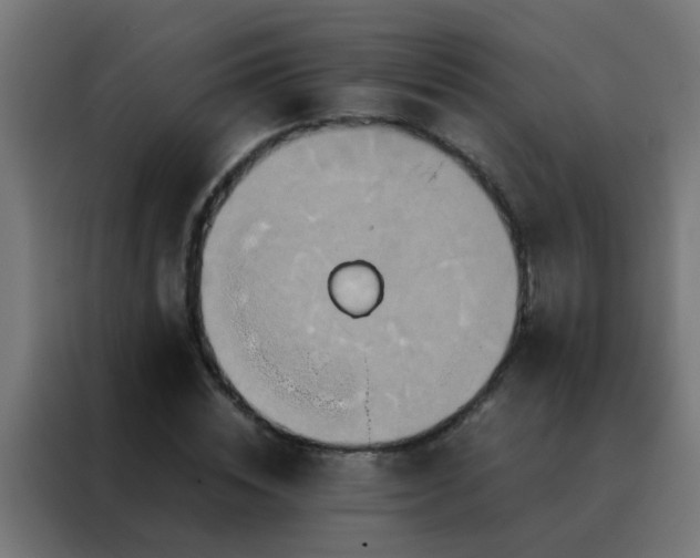 X0000088210828200705221741