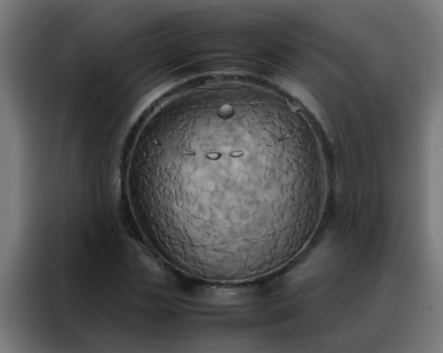 X0000088210829200705221741
