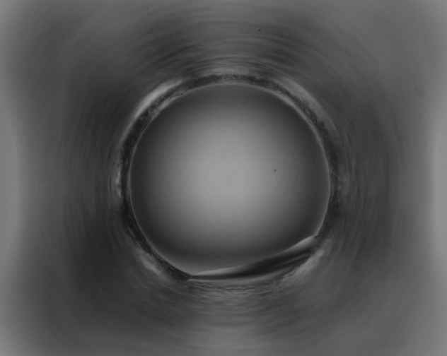 X0000088210830200705221741