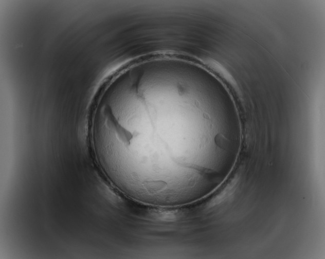 X0000088210831200705221741