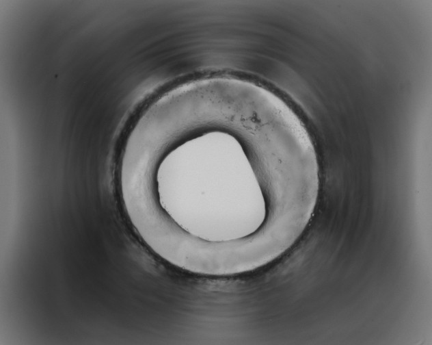 X0000088210832200705221742