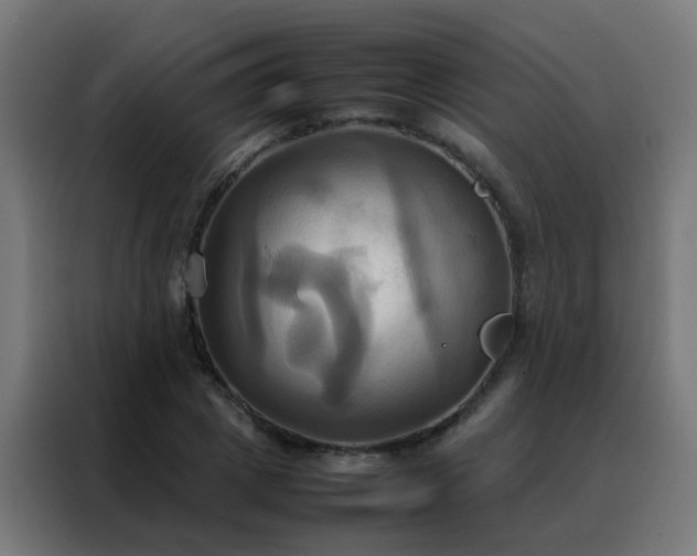 X0000088210833200705221742
