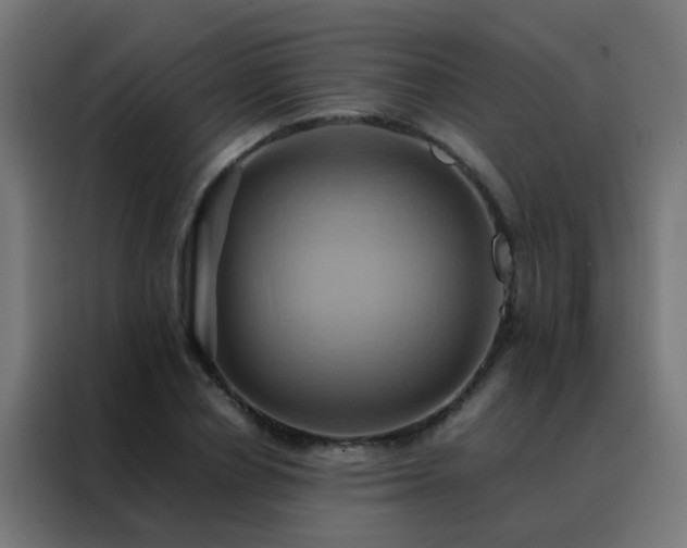 X0000088210834200705221742