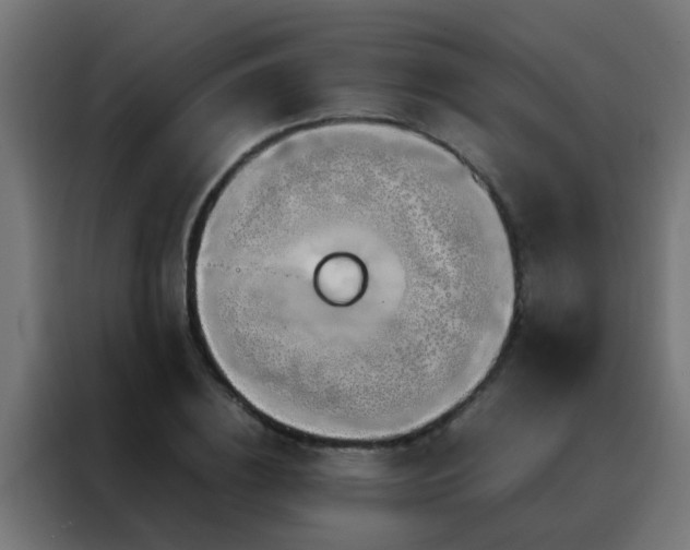 X0000088210836200705221742