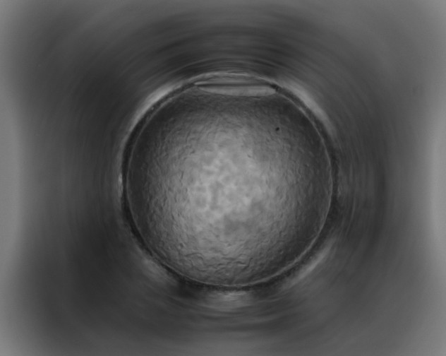 X0000088210837200705221742