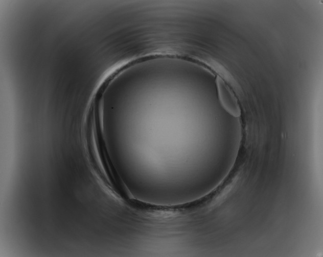X0000088210838200705221742