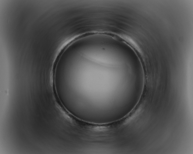X0000088210839200705221742
