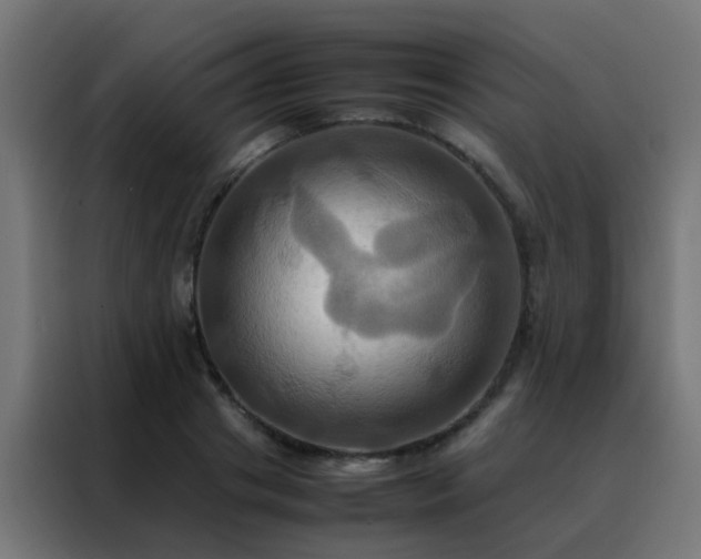 X0000088210841200705221742