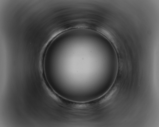 X0000088210843200705221742