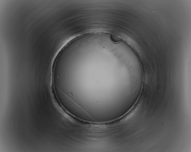 X0000088210844200705221742