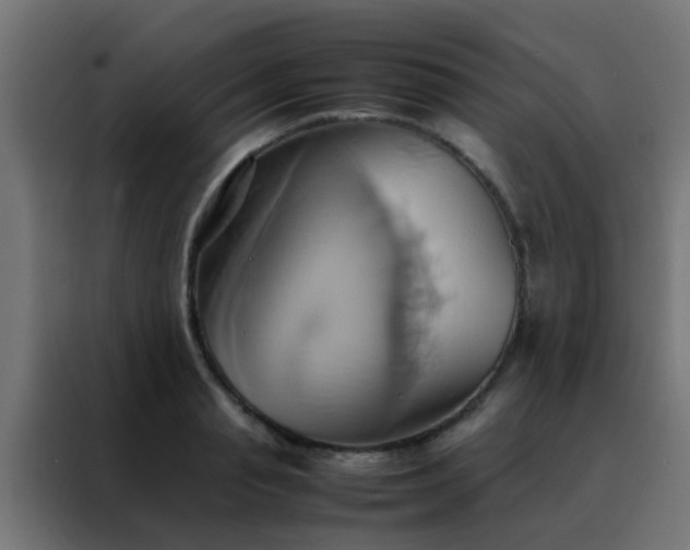 X0000088210845200705221742