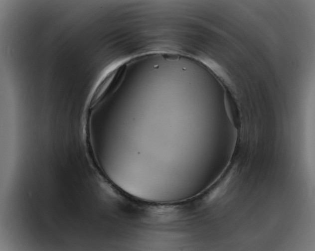 X0000088210846200705221742